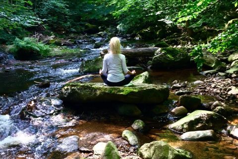 Ganzheitliche Seminare  & Kurse, Indigene und alternative Heiltechniken